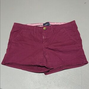 American Eagle Outfitters Stretch Plum Colored Shorts (Women’s Size 10)